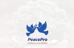 Youth Council partners PeacePro to explore alternative ideas for peace and national development