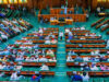 Constitution Alteration: House of Representatives passes State Police Bill