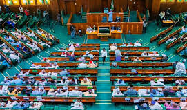 Constitution Alteration: House of Representatives passes State Police Bill
