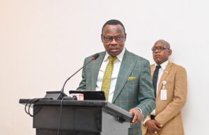 Fg Pledges Access to Cooking Gas for 28.8m households by 2030