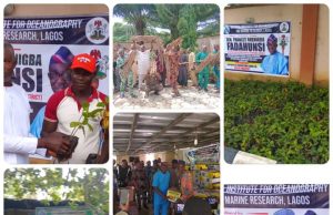Senator Fadahunsi Distributes Seedlings to Boost Food Security in Osun East